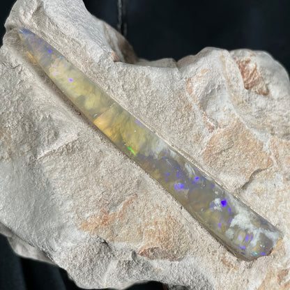 OPAL BELEMNITE FOSSIL IN MATRIX, Lower Cretaceous, Australia GOB011