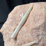 OPAL BELEMNITE FOSSILS IN MATRIX, Lower Cretaceous, Australia GOB012