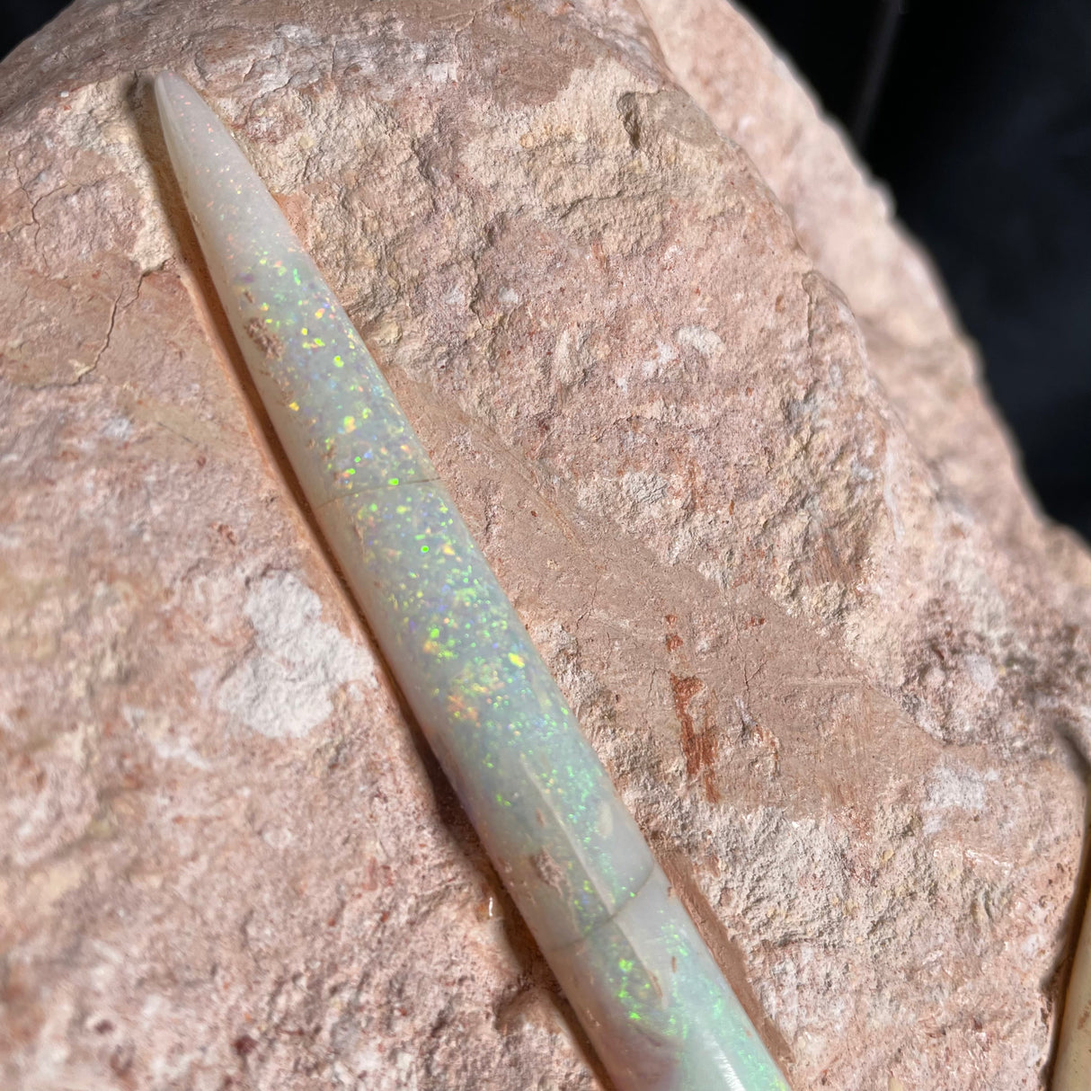 OPAL BELEMNITE FOSSILS IN MATRIX, Lower Cretaceous, Australia GOB012