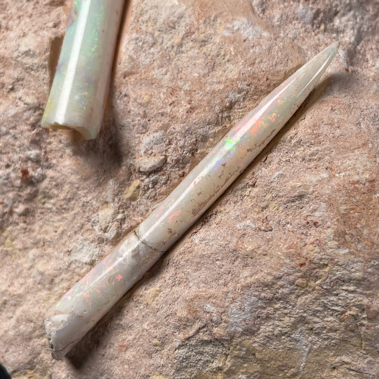 OPAL BELEMNITE FOSSILS IN MATRIX, Lower Cretaceous, Australia GOB012
