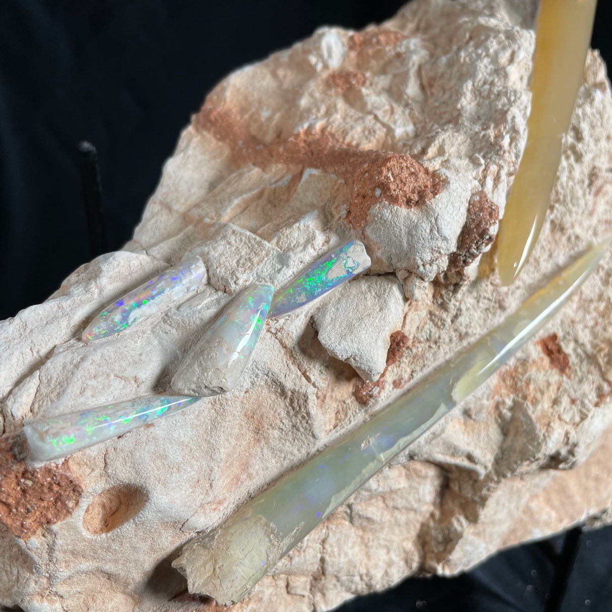 OPAL BELEMNITE FOSSILS IN MATRIX, Lower Cretaceous, Australia GOB013