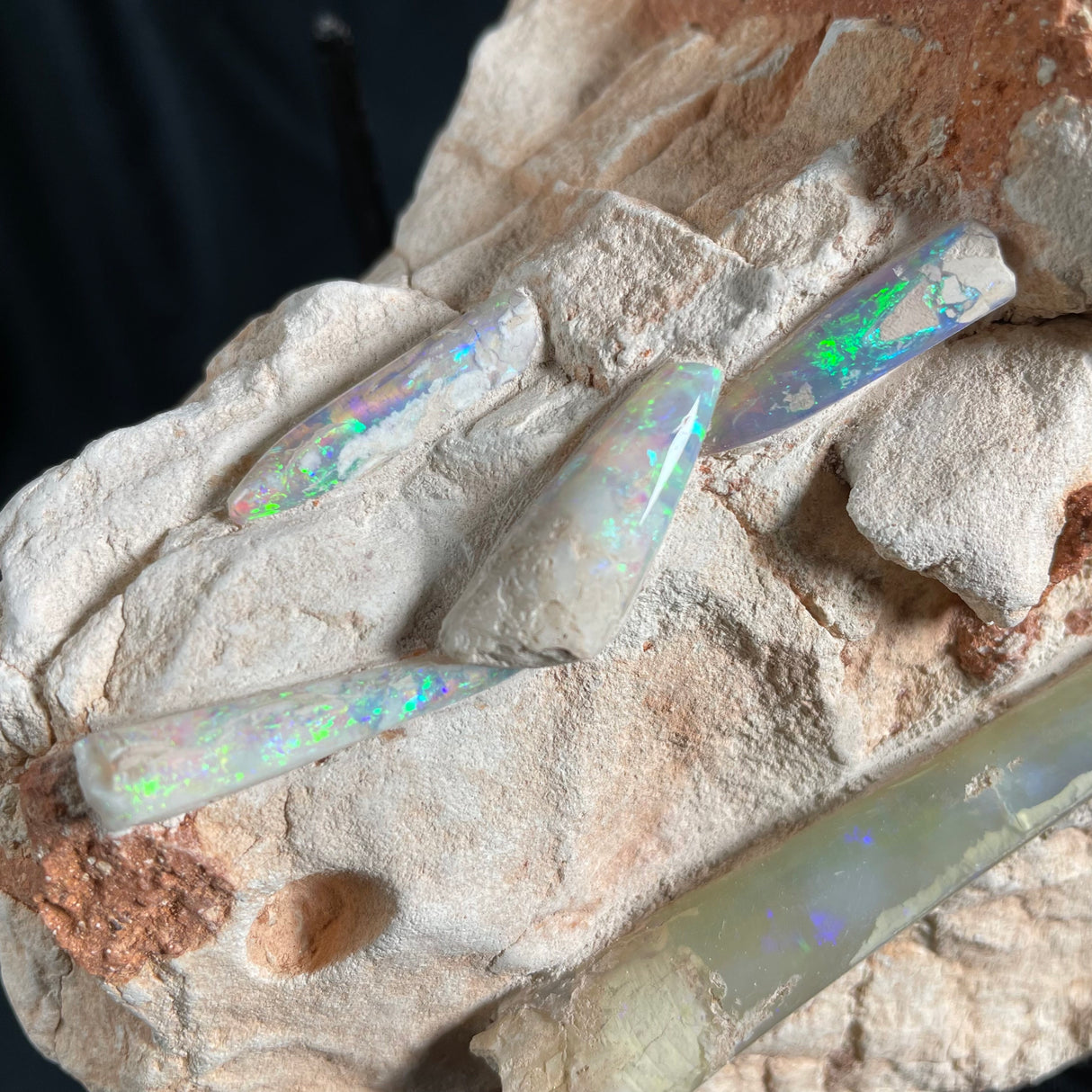 OPAL BELEMNITE FOSSILS IN MATRIX, Lower Cretaceous, Australia GOB013