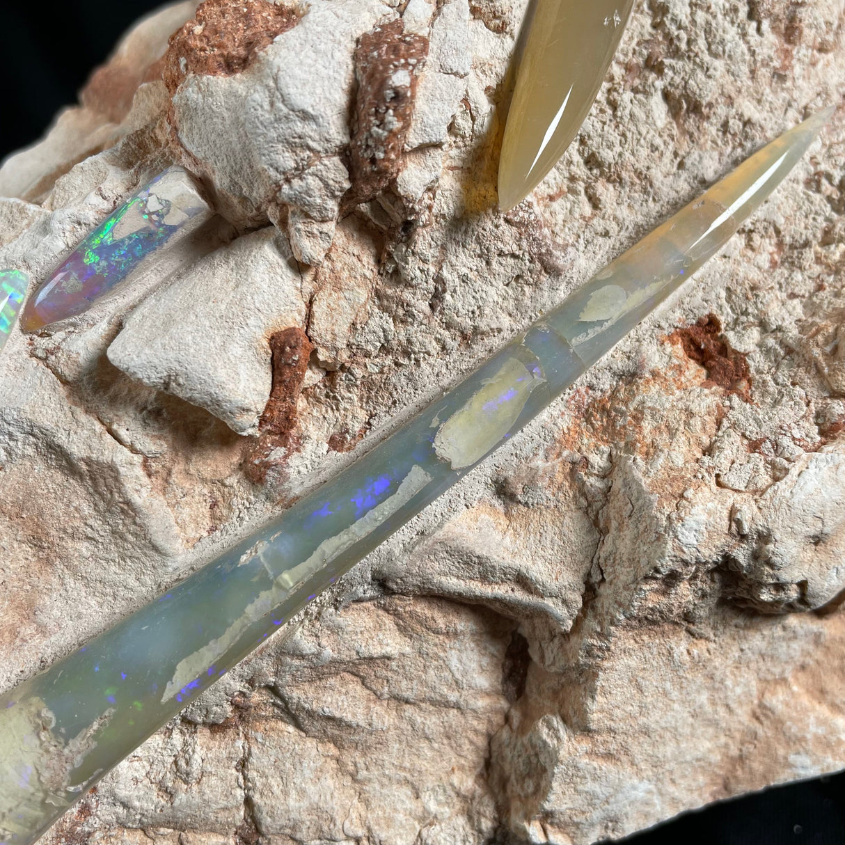 OPAL BELEMNITE FOSSILS IN MATRIX, Lower Cretaceous, Australia GOB013