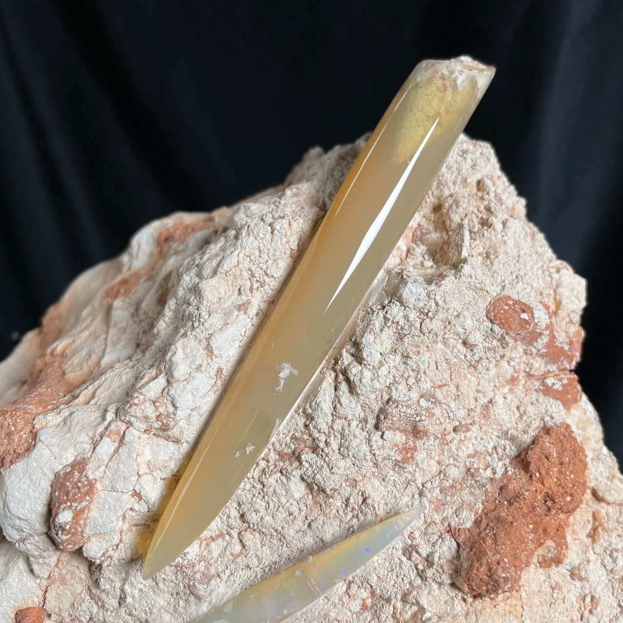 OPAL BELEMNITE FOSSILS IN MATRIX, Lower Cretaceous, Australia GOB013