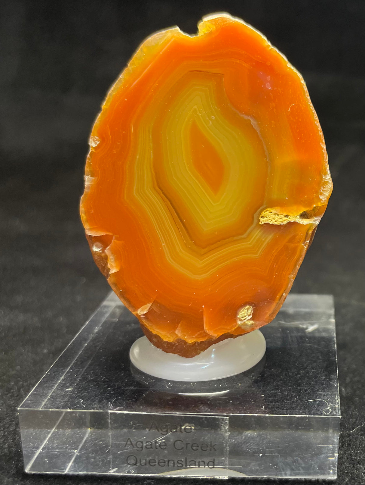 AGATE CREEK AGATE SPECIMEN, Agate Creek Queensland, Australia 3IHACA2