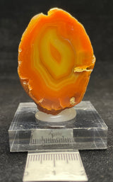 AGATE CREEK AGATE SPECIMEN, Agate Creek Queensland, Australia 3IHACA2