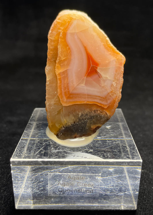 AGATE CREEK AGATE SPECIMEN, Agate Creek Queensland, Australia 3IHACA4