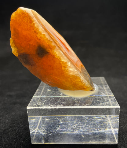 AGATE CREEK AGATE SPECIMEN, Agate Creek Queensland, Australia 3IHACA4