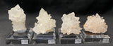 CALCITE, Indonesia ICJ005-8