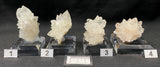 CALCITE, Indonesia ICJ005-8