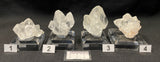 CALCITE, Indonesia ICJ009-12