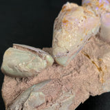 OPAL FOSSILS IN MATRIX, Lower Cretaceous, Australia GOB018
