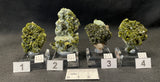 EPIDOTE, Morocco IEP001-4