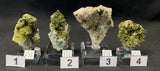EPIDOTE, Morocco IEP013-16