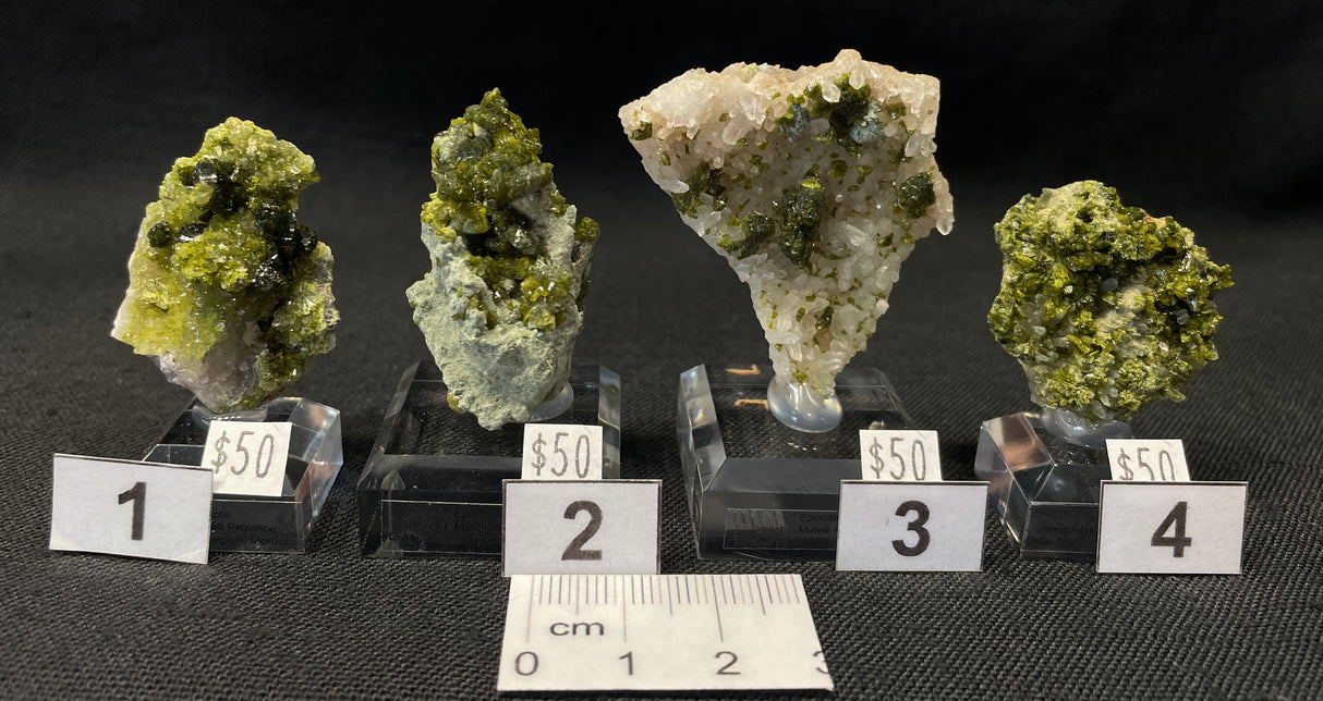 EPIDOTE, Morocco IEP013-16