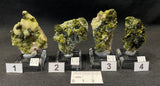 EPIDOTE, Morocco IEP017-20