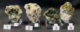 EPIDOTE, Morocco IEP021-24
