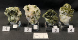 EPIDOTE, Morocco IEP021-24