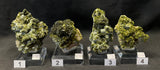 EPIDOTE, Morocco IEP038-41