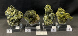 EPIDOTE, Morocco IEP038-41