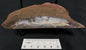 BOULDER OPAL, Australia GBL003