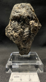 DARWIN GLASS IMPACTITE, Impact Melt, Australia IDG010