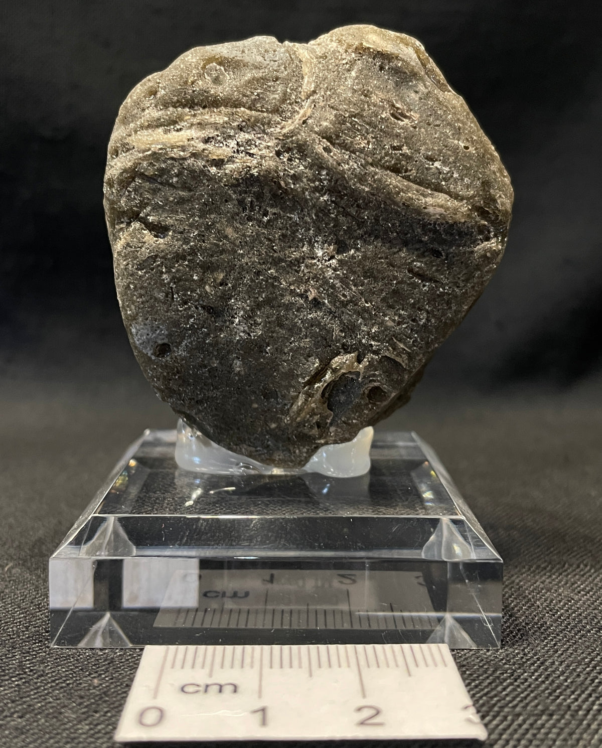 DARWIN GLASS IMPACTITE, Impact Melt, Australia IDG012