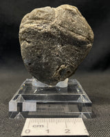 DARWIN GLASS IMPACTITE, Impact Melt, Australia IDG012