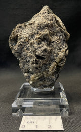 DARWIN GLASS IMPACTITE, Impact Melt, Australia IDG014