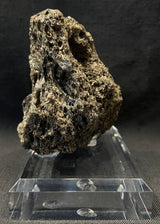 DARWIN GLASS IMPACTITE, Impact Melt, Australia IDG016