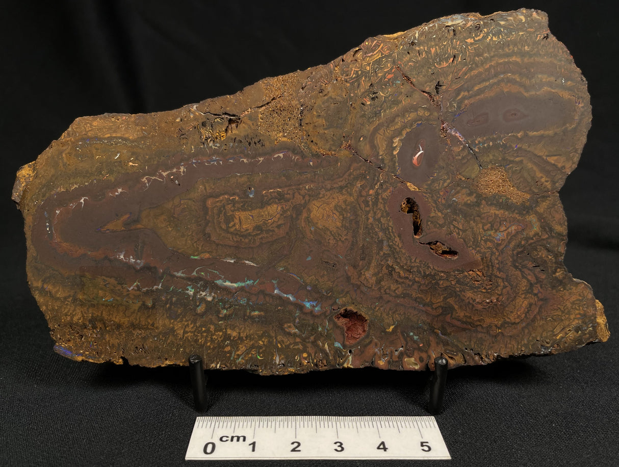 BOULDER OPAL, Australia GBL012