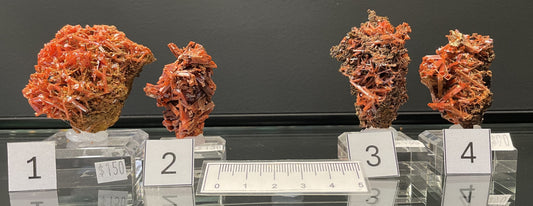 CROCOITE, Tasmania, Australia ICR037-40