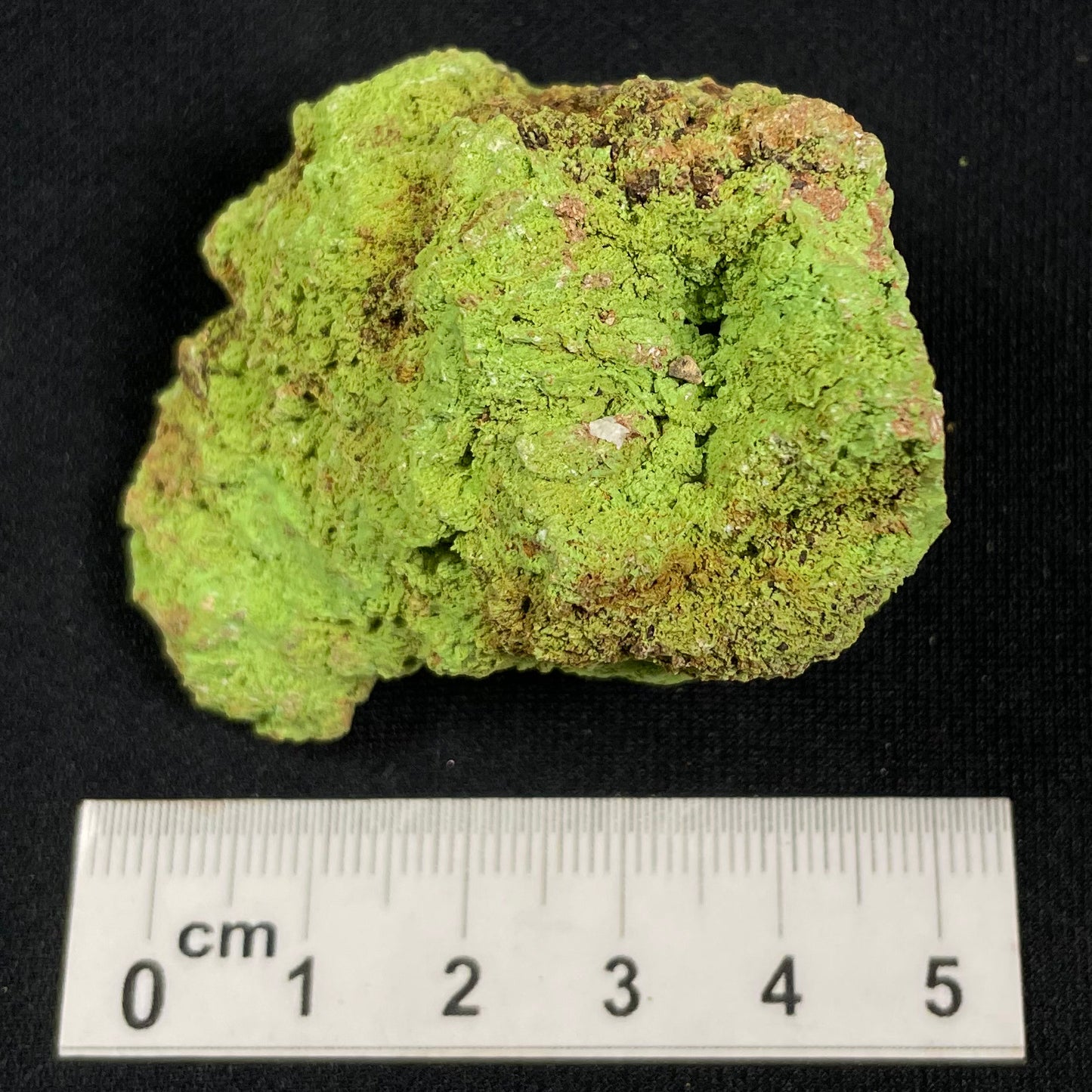 Gaspeite Rough from Australia XRG018