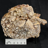 BRECCIATED MOOKAITE, Australia YSC003