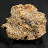 BRECCIATED MOOKAITE, Australia YSC003