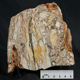 BRECCIATED MOOKAITE, Australia YSC004