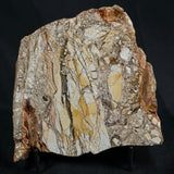 BRECCIATED MOOKAITE, Australia YSC004