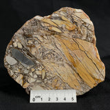 BRECCIATED MOOKAITE, Australia YSC007