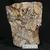 BRECCIATED MOOKAITE, Australia YSC009