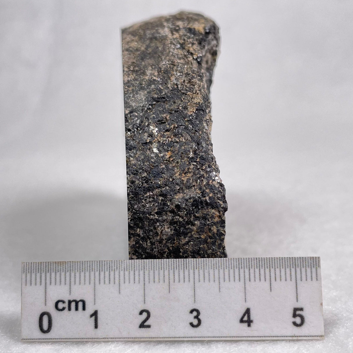 Orbicular Granite Nodule from Australia Polished YOG001