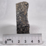 Orbicular Granite Nodule from Australia Polished YOG001