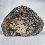 Orbicular Granite Nodule from Australia Polished YOG001