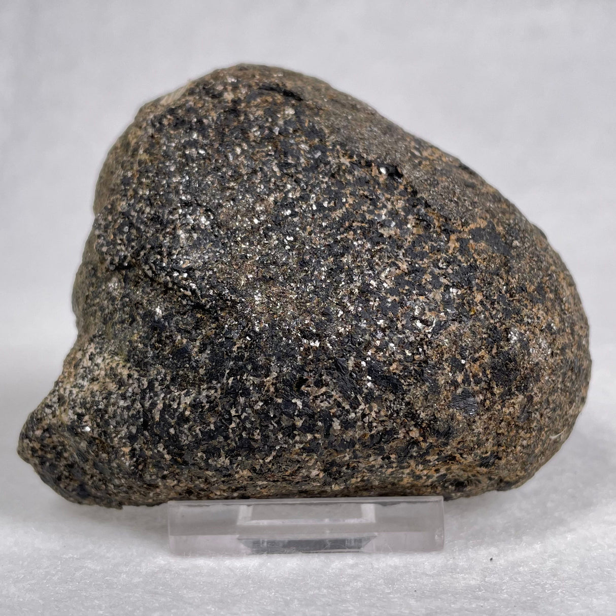 Orbicular Granite Nodule from Australia Polished YOG002