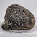 Orbicular Granite Nodule from Australia Polished YOG002