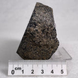 Orbicular Granite Nodule from Australia Polished YOG003