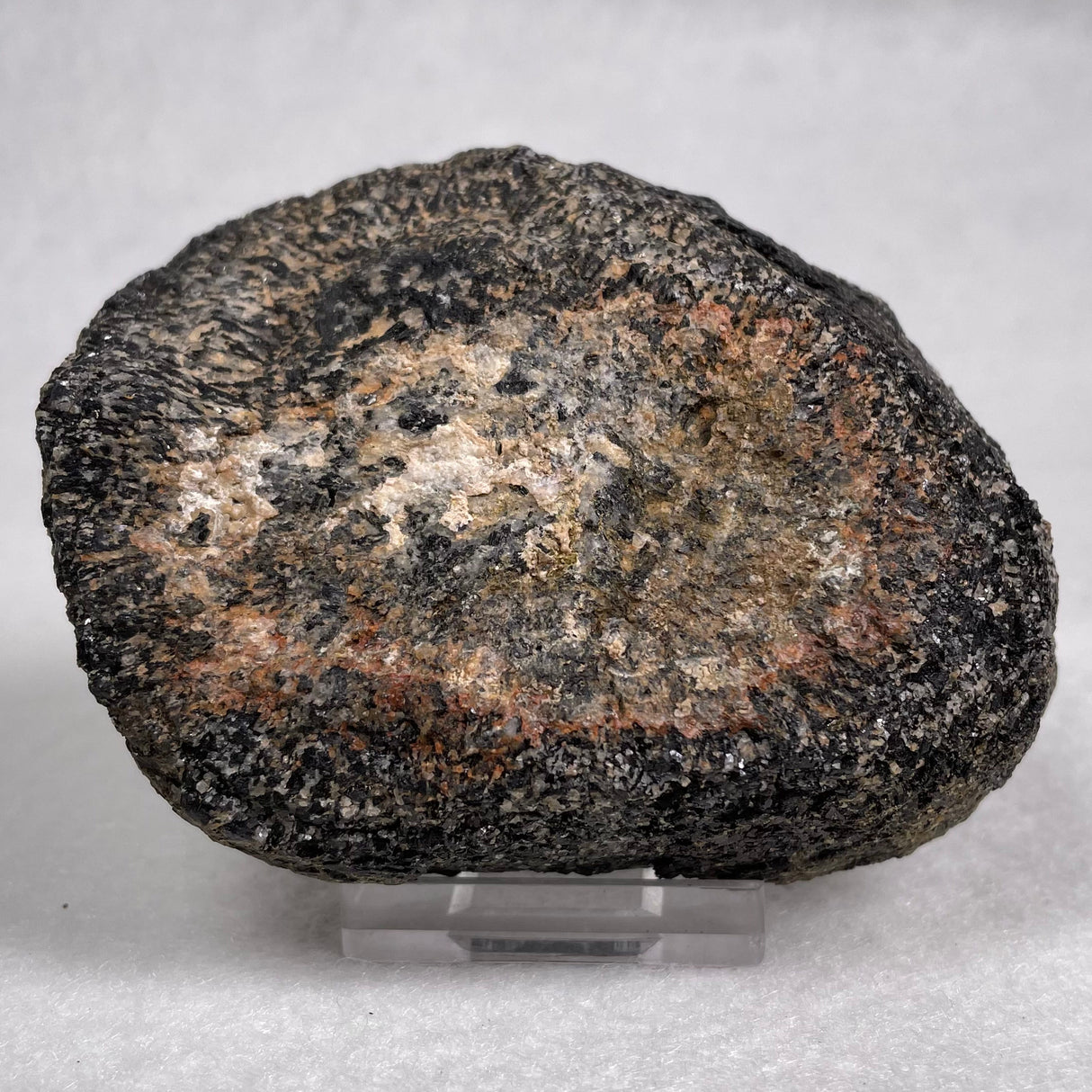 Orbicular Granite Nodule from Australia Polished YOG003