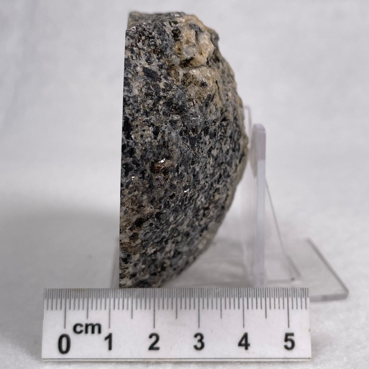 Orbicular Granite Nodule from Australia Polished YOG004