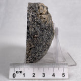 Orbicular Granite Nodule from Australia Polished YOG004