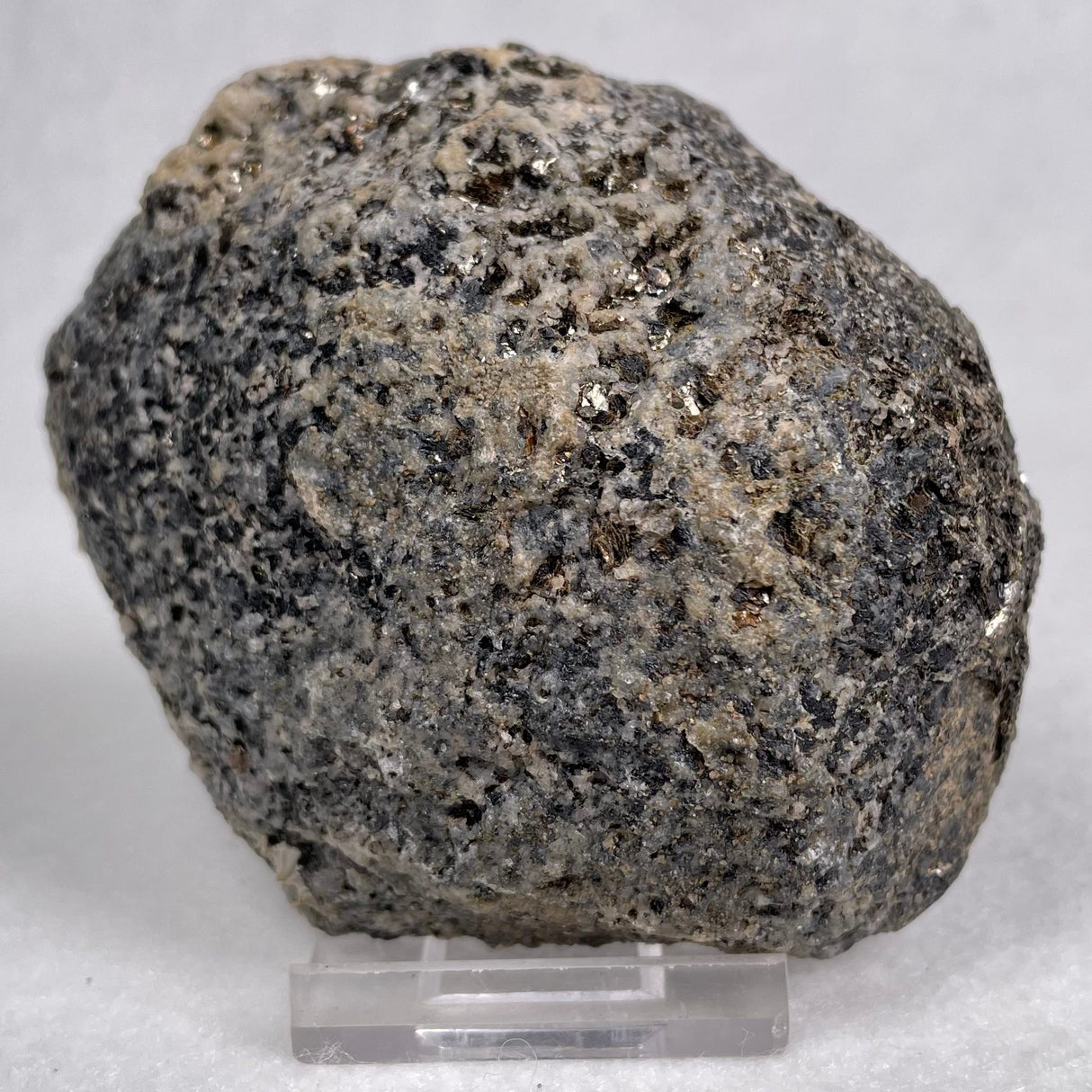 Orbicular Granite Nodule from Australia Polished YOG004
