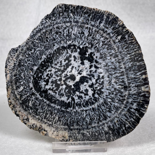 ORBICULAR GRANITE NODULE, Australia YOG006